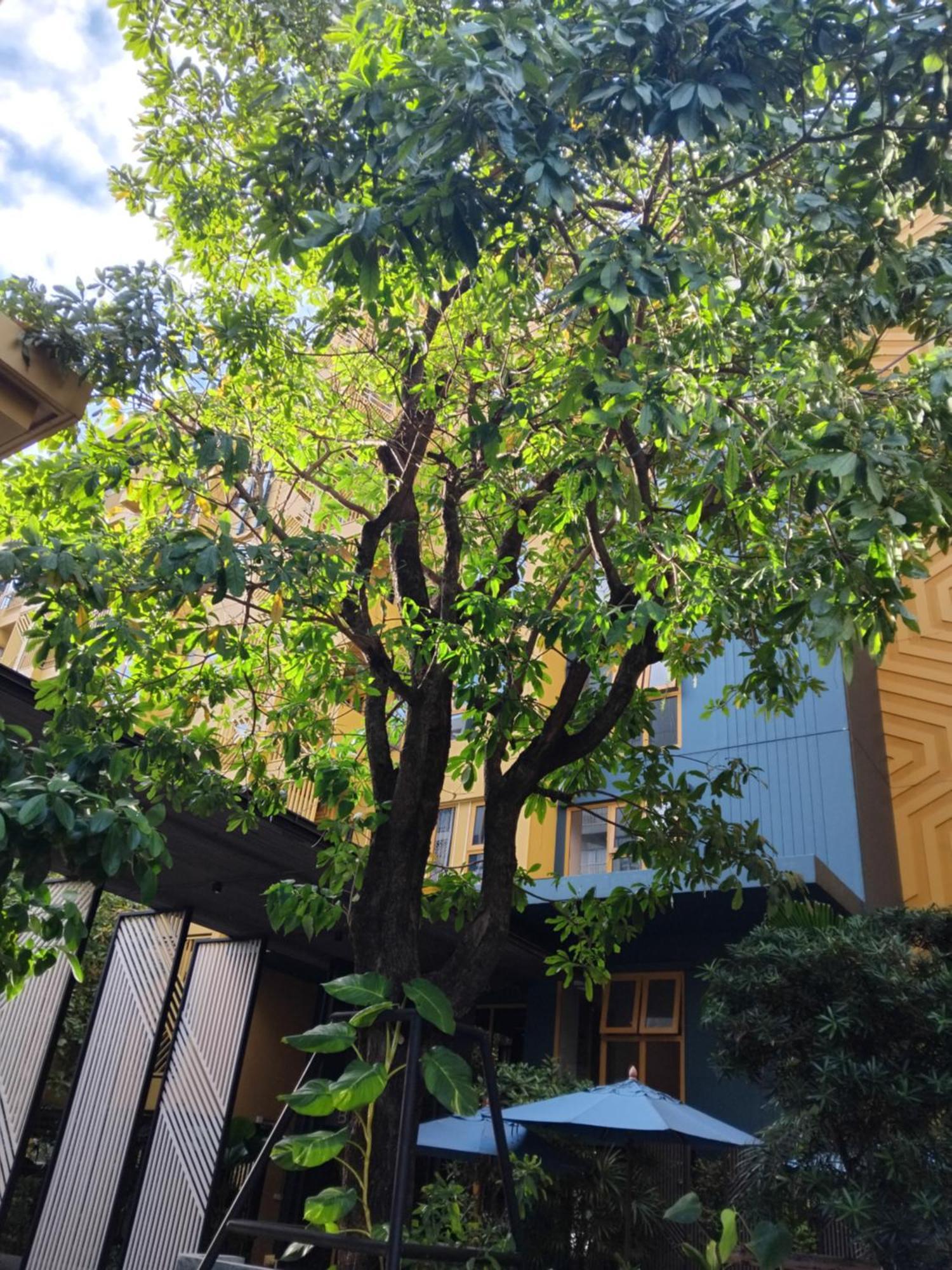 דירות בנגקוק Brissluxe At Bts Onnut Sukumvit 50 מראה חיצוני תמונה